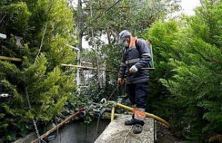 Kuşadası’nda vektörle mücadele devam ediyor
