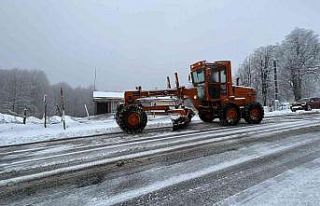 Kütahya Domaniç’te kar yağışı etkili oldu