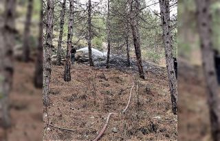 Kütahya’da orman yangını