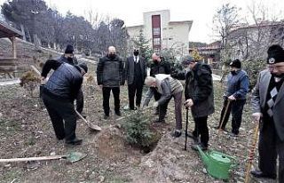 Kütahya’da yaşlılar fidan dikti