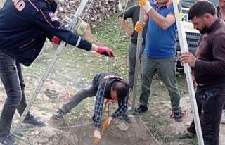 Kuyuya düşen inek, AFAD ekibi tarafından kurtarıldı