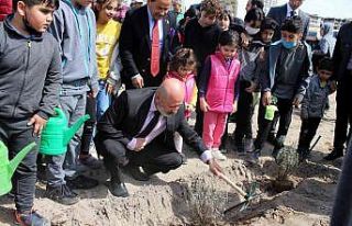 Lavanta Bahçesi’ne 20 bin fidan