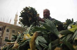 Lezzet ve şifa deposu yabani pırasa tezgâhlarda...