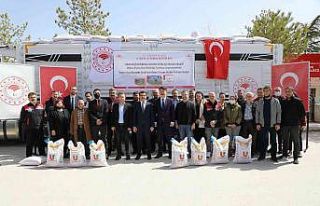 Mahmudiye’ye 33,5 ton nohut tohumu desteği