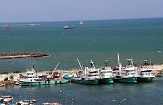 Malkoç: "Bu sezon bütün balıklar oldu"