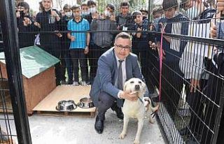 Manisa Büyükşehir Belediyesinden ’Can Dostum’...