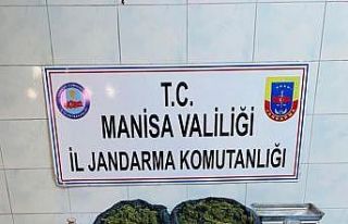 Manisa’da uyuşturucu operasyonu: 2 gözaltı