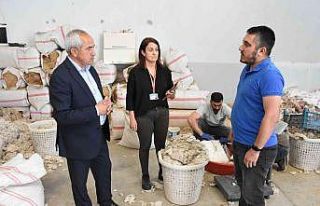 Mantar Yetiştirme Kursu, Tarsuslulara yeni iş kapısı...