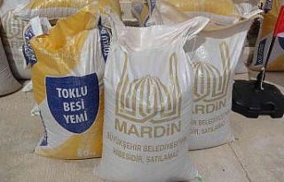 Mardin’de üreticilere yüzde 90 hibe ile yem dağıtıldı