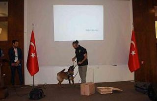 Marmaris’te bağımlılık ile mücadele çalıştayı...
