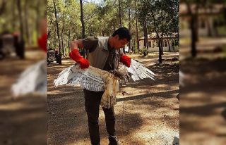 Marmaris’te Yılan Kartalı doğaya salındı