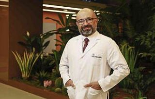 Martı kazaları literatüre girdi