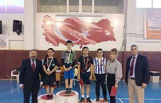 Masa Tenisi teşvik müsabakaları sona erdi