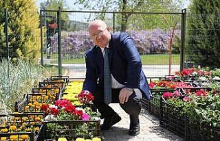 Menteşe’de bahar renkleri çiçek açtı