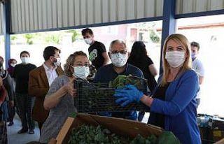 Merkezefendi’de son 2 yılda 660 ton sağlıklı...