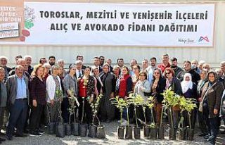 Mersin’de 105 üreticiye avokado ve alıç fidanı...