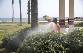 Mersin’de ilaçlama çalışmaları hız kazandı
