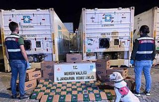 Mersin’de muz kolileri içerisine gizlenmiş 258...