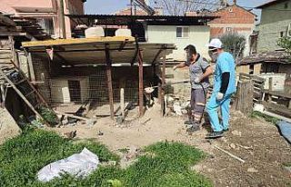 Metruk binada pitbull besleyen kişiye 14 bin 982...