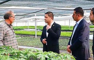 MHP’li Bulut, ata tohumuna dikkat çekti