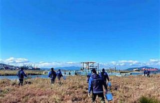 Milas’ta vektörle mücadele