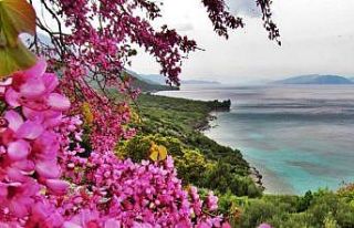 Milli Park’ta yangın tehdidine karşı ortak bildiri