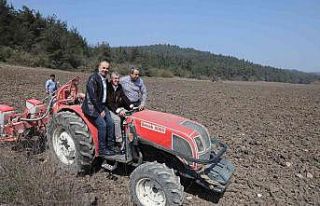Mudanya Belediyesi ayçiçek tohumlarını toprakla...