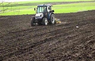 Muş Ovası’nda çiftçiler şeker pancarı ekimi...