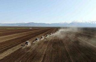 Muş Ovası’nda ekim mesaisi