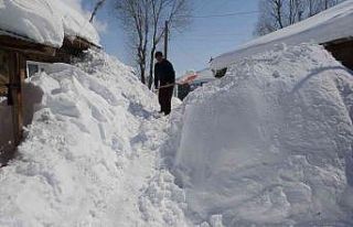 Muş’ta dağ köylerinin kar çilesi bitmek bilmiyor