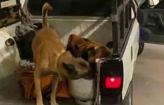 Mutfak tüpüne 46 bin uyuşturucu hap sakladılar,...