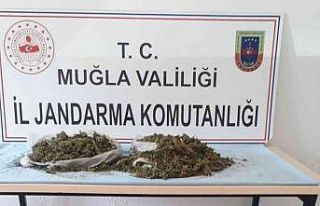 Narkotik köpeği Kont, uyuşturucuya geçit vermedi