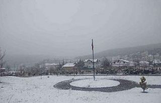 Niksar’a “Nisan karı” yağdı!