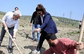 Nilüfer’de ekoçiftlik meyve fidanlarıyla donatıldı