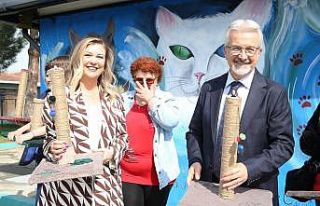 Nilüfer’de kedilere özel hizmet