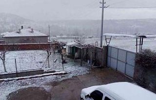 Nisan ayında karlı bir sabaha uyandılar