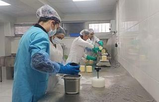 Okulda tereyağı üretmeye başladılar, siparişlere...