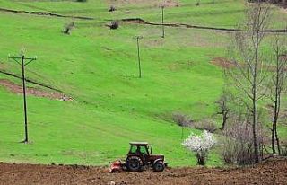 Ordu’da atıl araziler üretime kazandırılıyor
