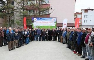 Ordu’da küçükbaş hayvan yetiştiriciliği gelişiyor