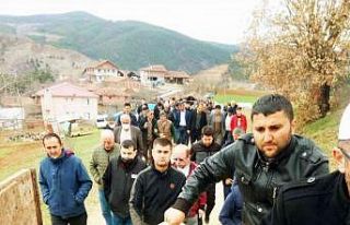 Orman kesimi sırasında öldürülen Bayam toprağa...