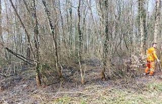 Ormanlık alanlarda çıkan yangın büyümeden söndürüldü