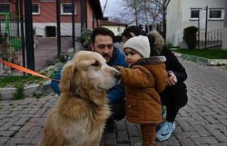 Osmangazi’de 78 can dost sıcak yuvaya kavuşturuldu