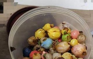 Otelde ölü bulunmuştu, uyuşturucu kuryesi olduğu...