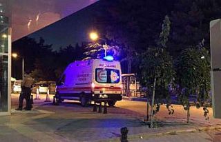 Otomobilin çarptığı at telef oldu, üzerindeki...