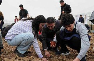 Özel öğrenciler marul ve soğan fidelerini toprakla...