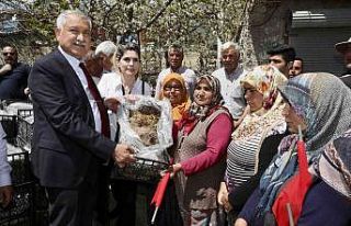 Pozantı’da 1 milyon 200 çilek fidesi dağıtıldı