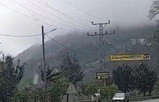 Rize’de sahibinden kaçan at karayolunda 4 nala...