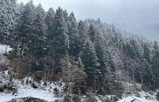 Rize’nin yüksek kesimleri Nisan ayında beyaza...