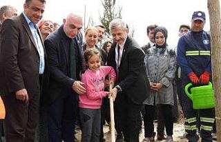 Şahinbey’deki boş arazi ormana dönüşüyor