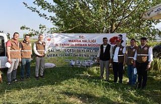 Salihli’de ıslah edilen meralar kullanıma açıldı